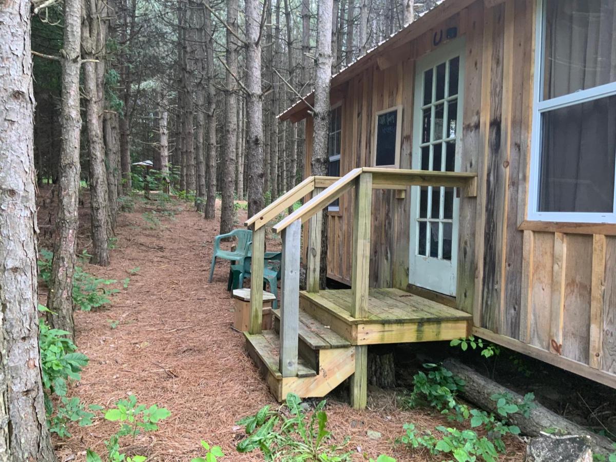 D & K Ranch “Max'S Cabin” Interlaken Екстериор снимка