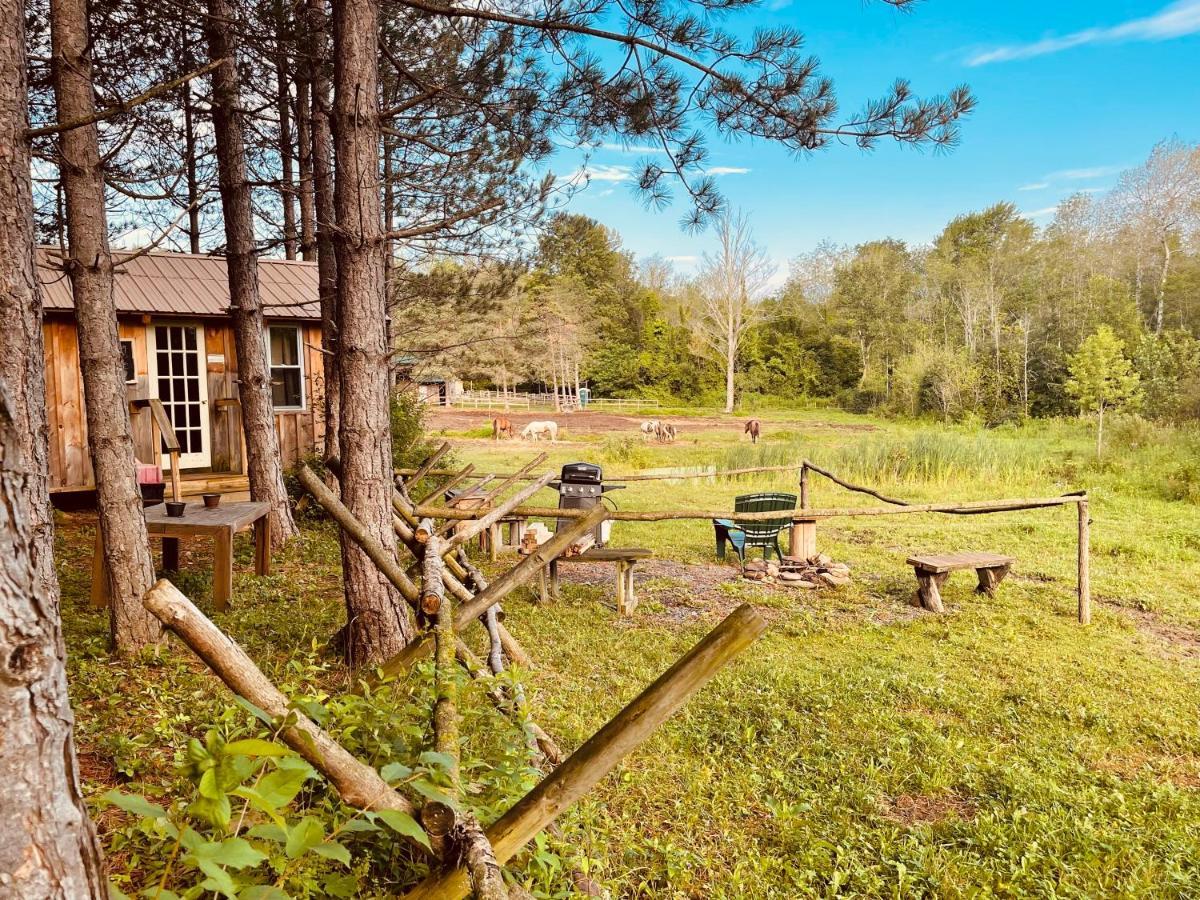 D & K Ranch “Max'S Cabin” Interlaken Екстериор снимка